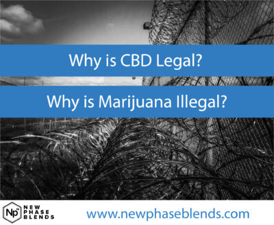 CBD Legal Marijuana Illegal Featured