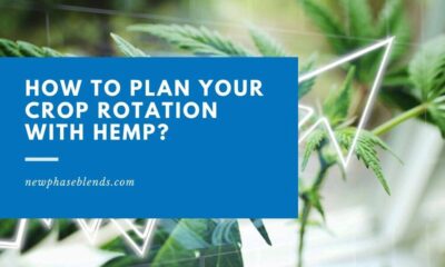 How To Plan Your Crop Rotation With Hemp
