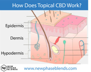 how does topical cbd work
