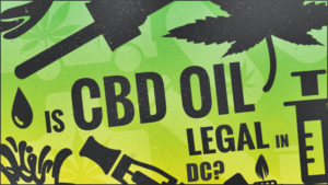 Where To Buy CBD Oil in DC?