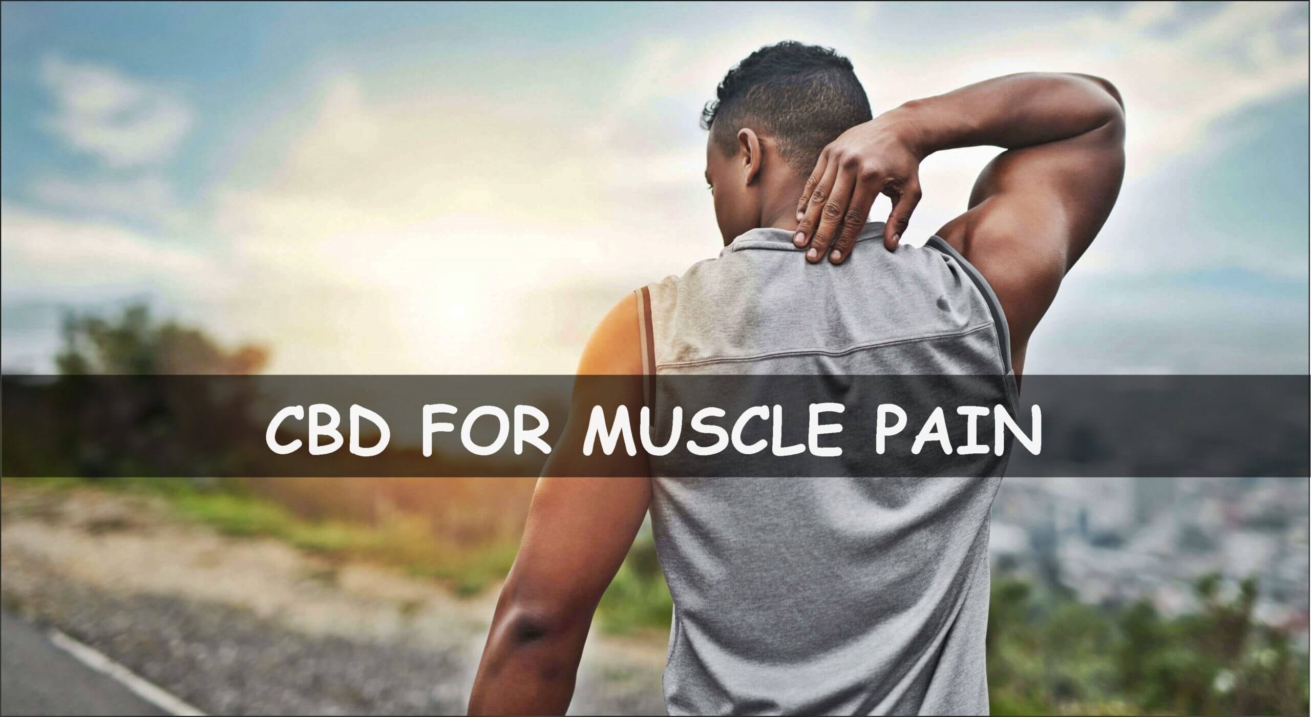 CBD for Muscle Pain