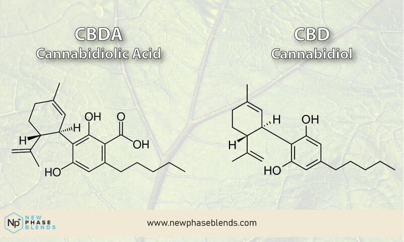 Cbd Vs Cbda Molecules