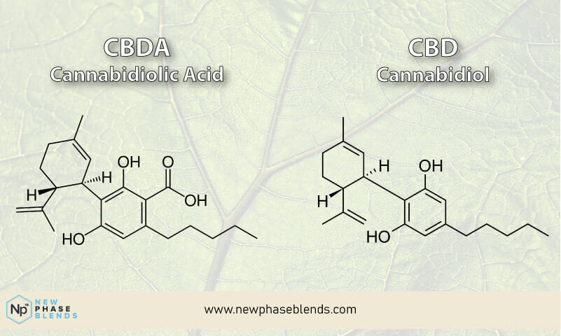 CANNABIDIOLIC ACID (CBDA) 2 cbd vs cbda molecules