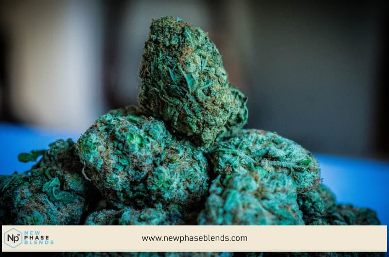 Delta 9 THC Cannabinoid Profile Explained 2 delta 9 thc flower