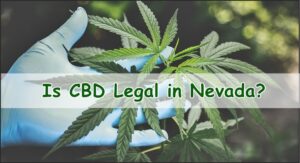 Is CBD Legal in Nevada?