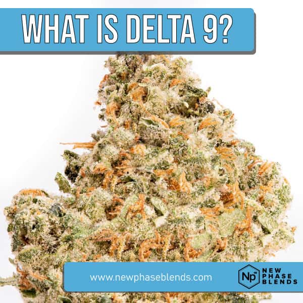 what is delta 9 featured