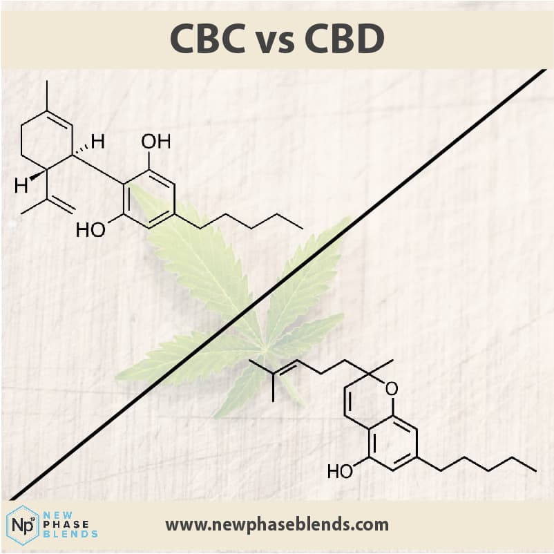 CBC vs CBD main
