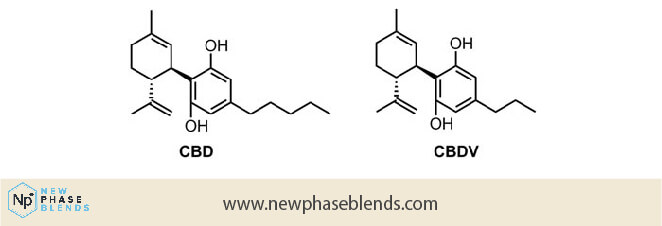 CBDV VS CBD: What's The Difference? 1 CBD vs CBDV molecule differences