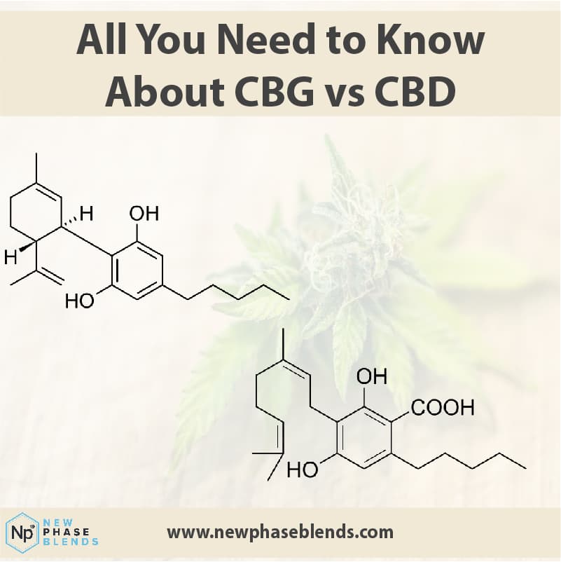 CBD vs CBG article thumbnail