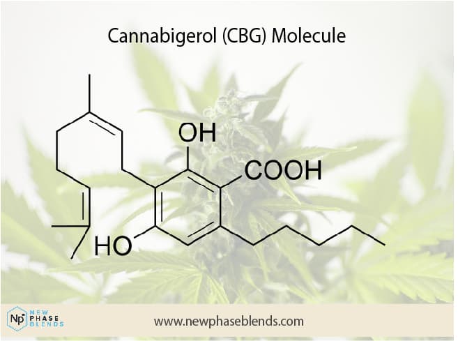 CBG vs CBD molecule