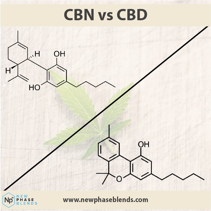 CBN vs CBD featured