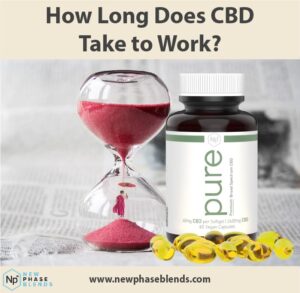 how long does CBD take to work article thumbnail