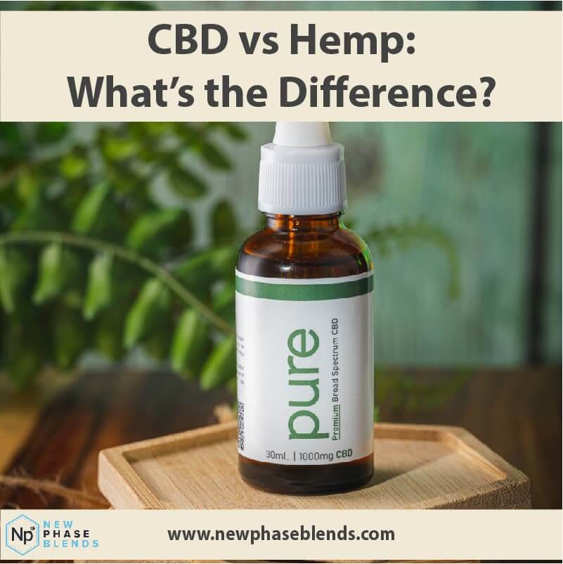 cbd vs hemp article thumbnail