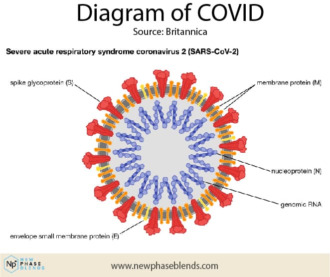 Cbd And Covid Cell