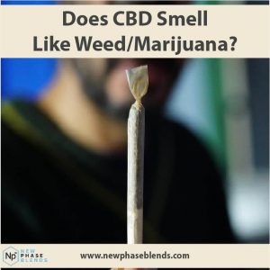 Does CBD smell like weed article thumbnail