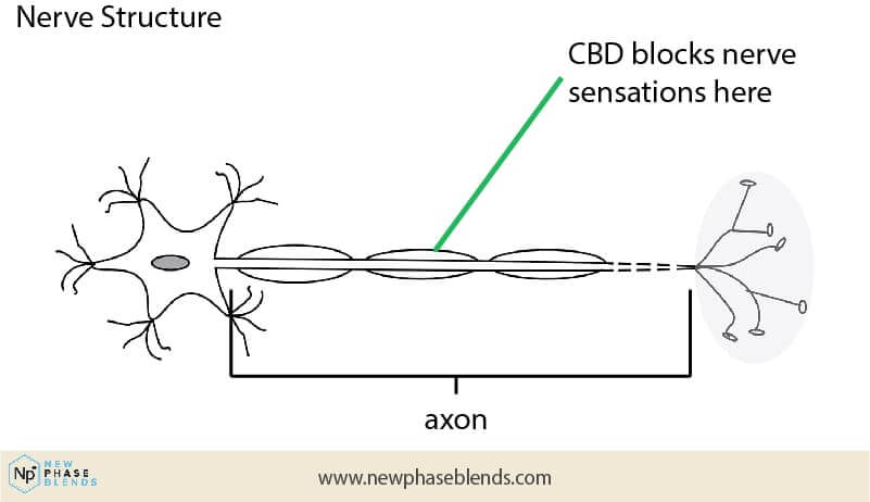 Cbd Dulls Nerve Pain Chart