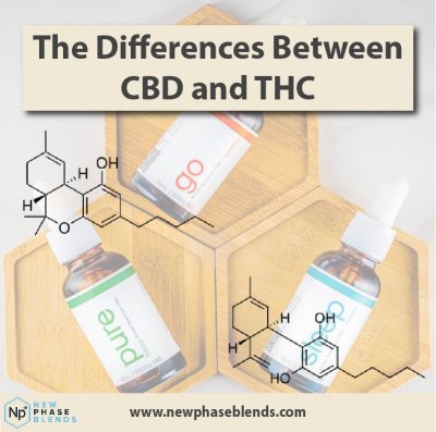 CBD vs THC article thumbnail
