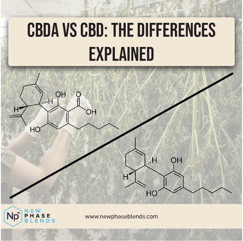 CBDA vs CBD thumbnail