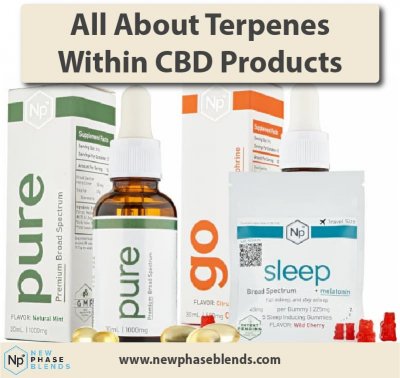 cbd terpenes article thumbnail