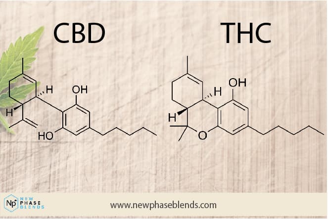 Explaining The Entourage Effect 2 Cbd Vs Thc