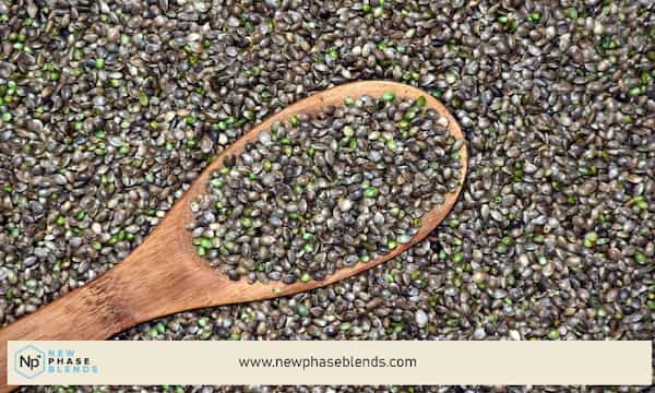 CBD vs Hemp - What's the Difference? 11 hemp seeds in a spoon