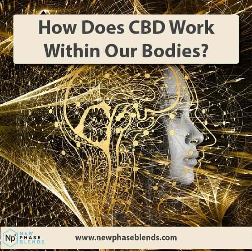 how does CBD work thumbnail