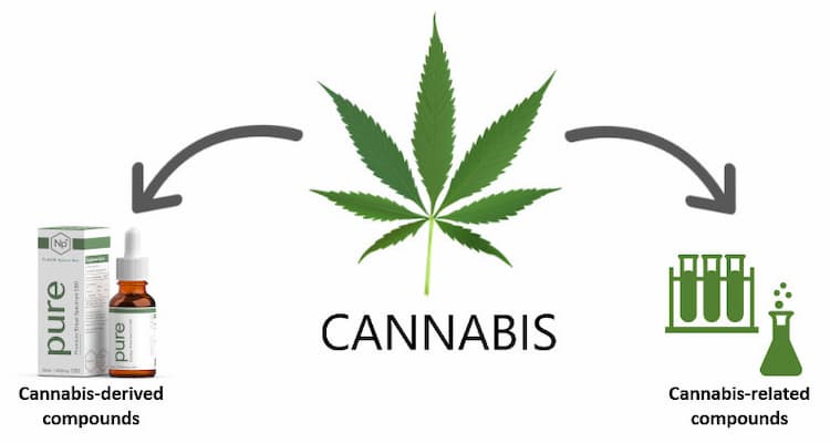 Is Cbd Legal In Nc (North Carolina) ? 3 Cbd Legal Graph