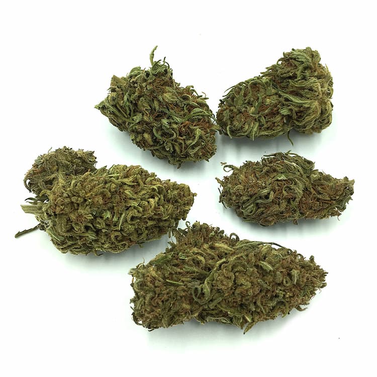 High CBD Strains of Hemp 7 hawaiin haze