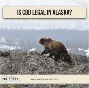 is CBD legal in Alaska thumbnail