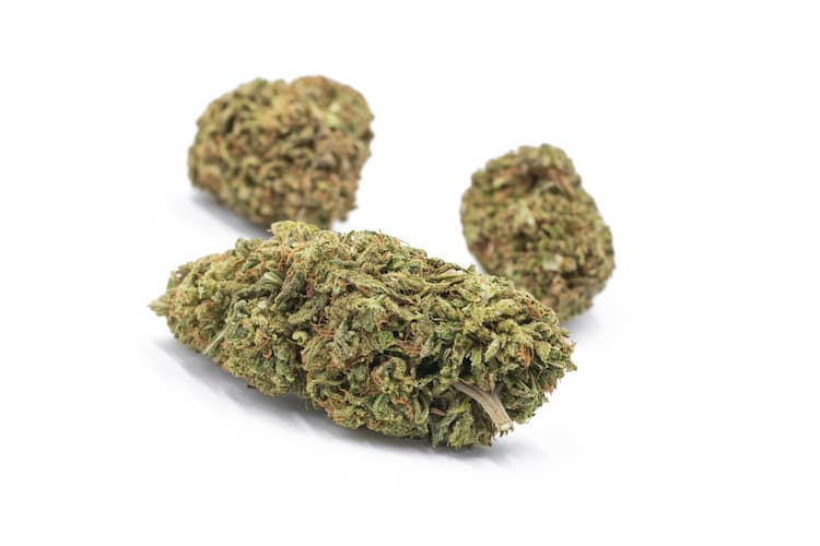 High CBD Strains of Hemp 9 sour lifter