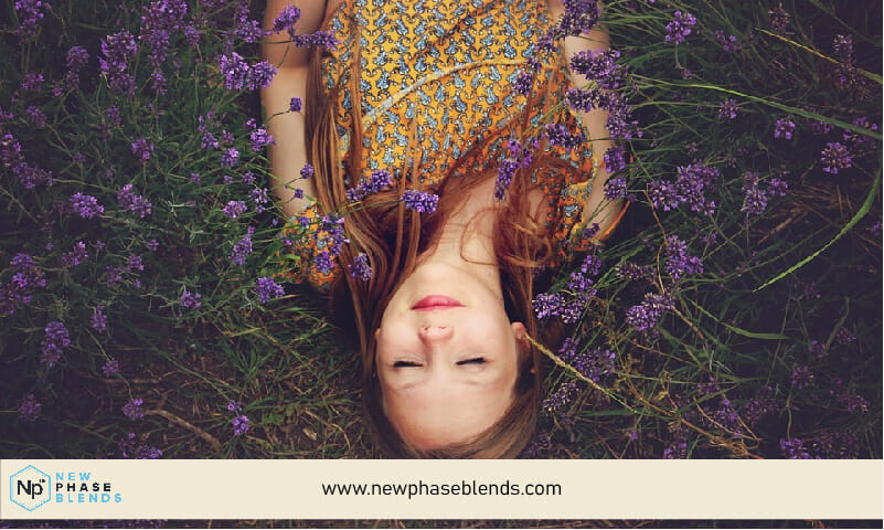 Sleeping In A Field Of Lavender