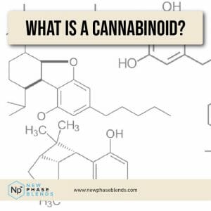 What Is A Cannabinoid Article Thumbnail