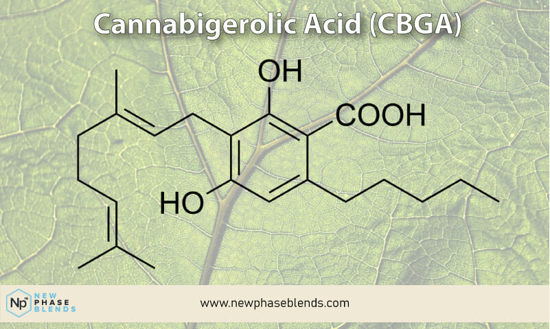Cannabigerolic Acid Molecule