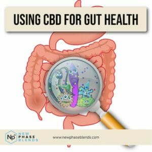 cbd for gut health featured