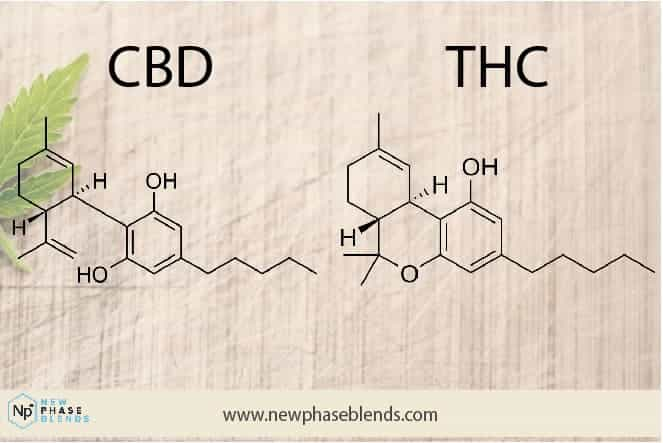 Delta 8 Vs Cbd