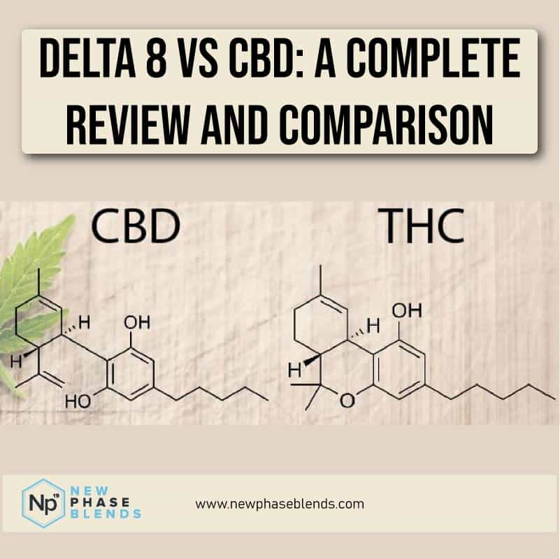 delta 8 vs cbd featured