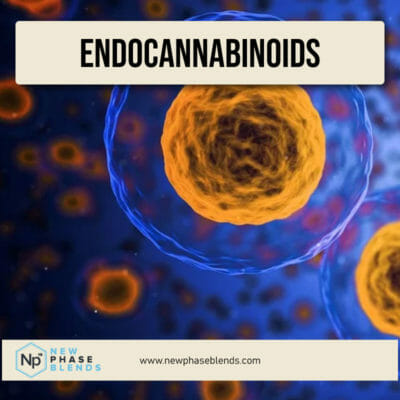 endocannabinoids featured