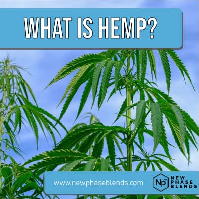 what is hemp featured