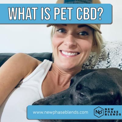 what is pet CBD featured