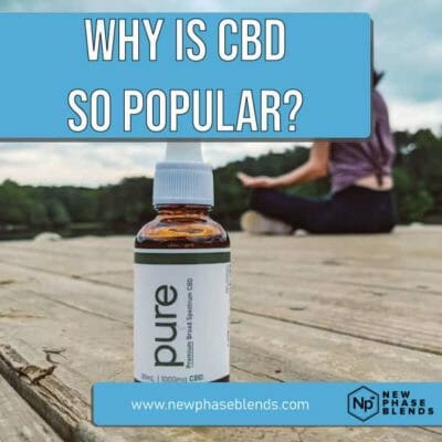 why is CBD so popular featured