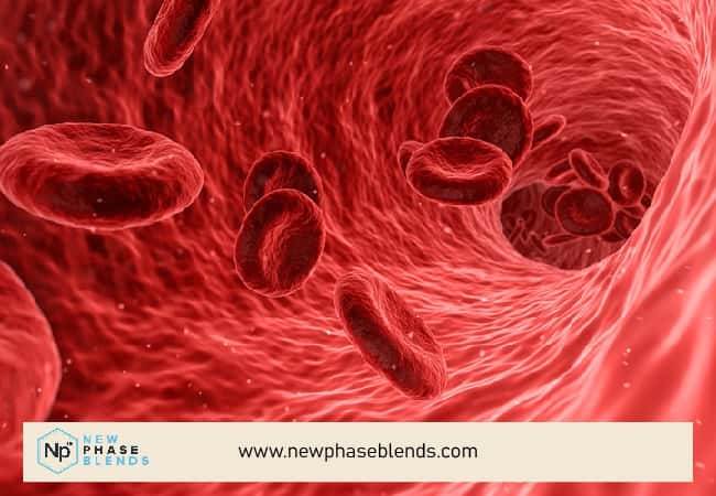 Blood Flow In Artery