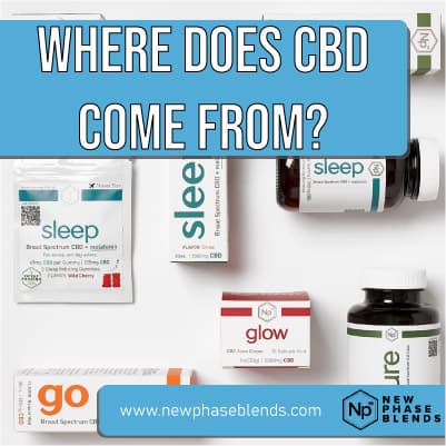 where does CBD come from featured