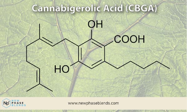 Cannabigerolic Acid Cbga