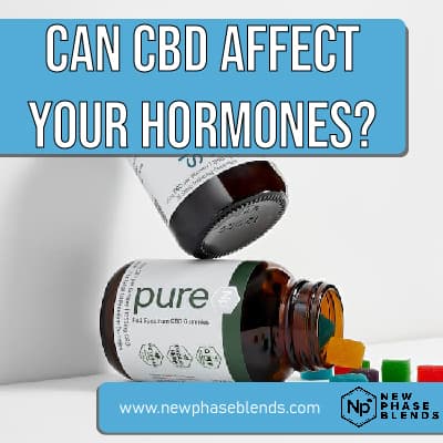 cbd and hormones featured image