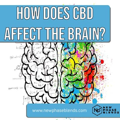 how does CBD affect the brain featured