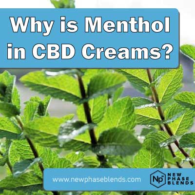 Why Do Some CBD Creams Include Menthol?