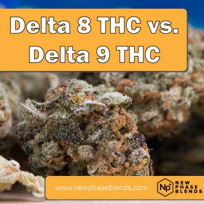 delta 8 vs delta 9 thc featured image