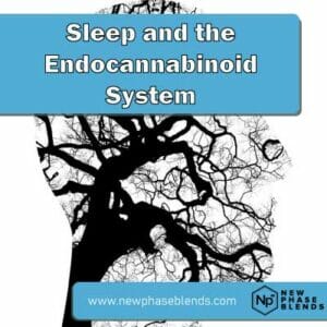How Does Sleep Affect The Endocannabinoid System Featured