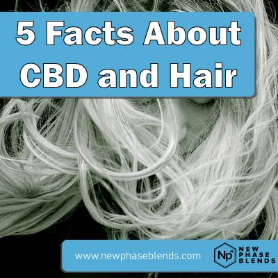 CBD and hair health featured image