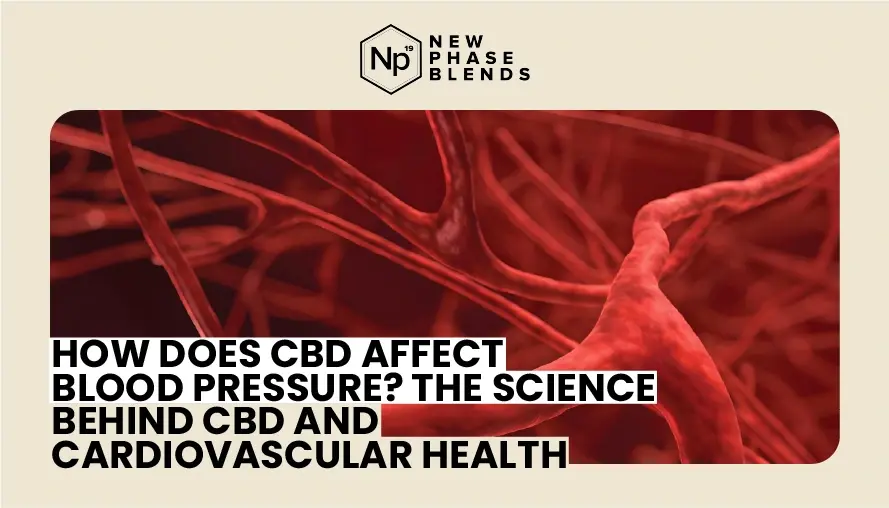 How Does CBD Affect Blood Pressure The Science Behind CBD and Cardiovascular Health